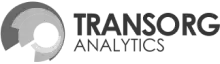 flag-course-2 transorg