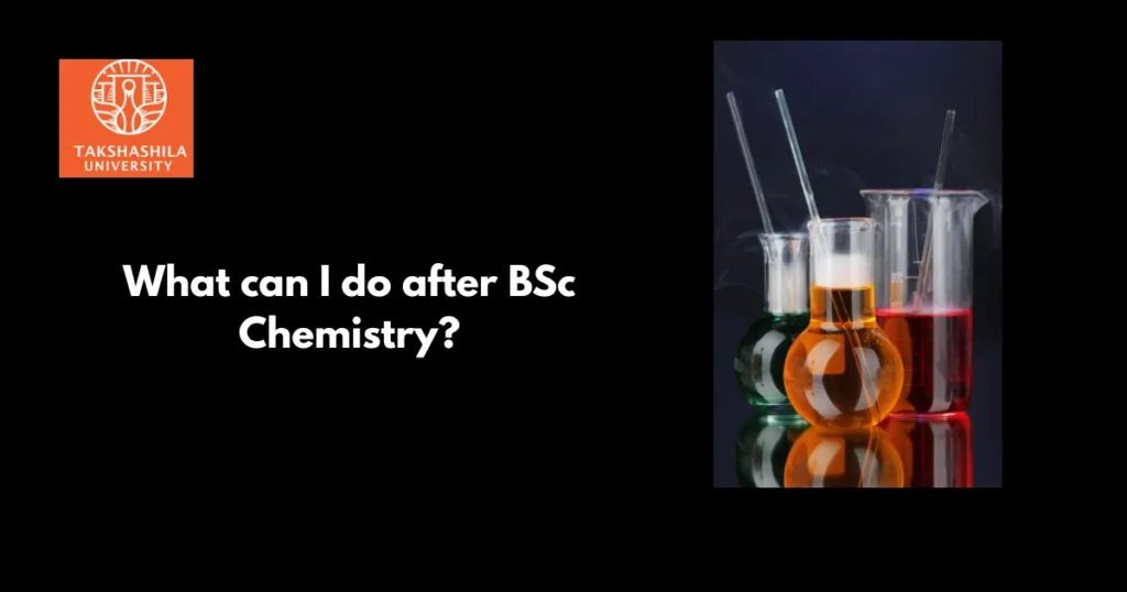 What Can I Do After BSc Chemistry